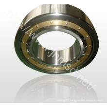 Auto Parts, Rolling Bearing, Cylindrical Roller Bearing (NF218E)